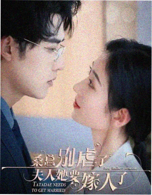 胶片保养专题封面